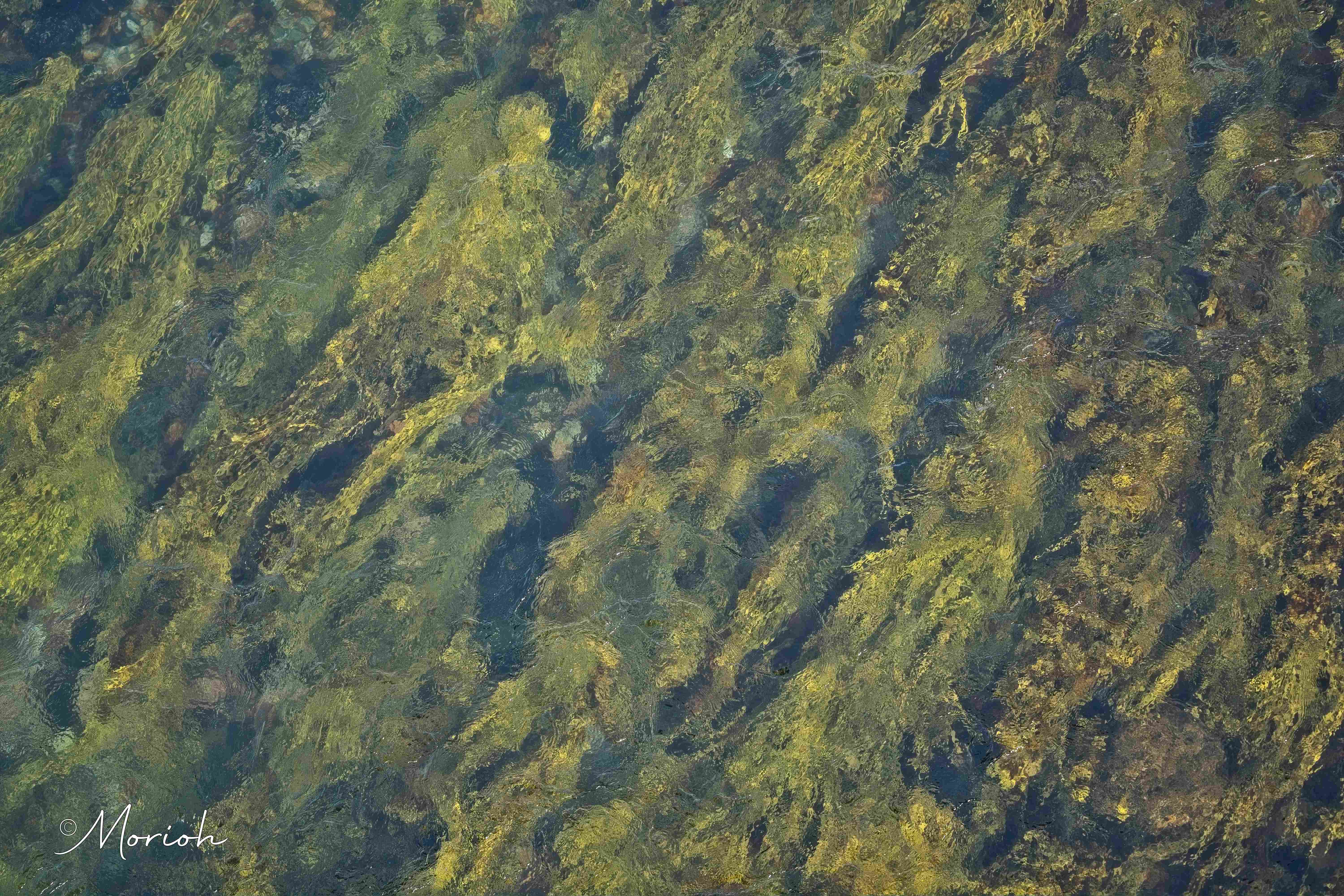 2026-06-18_6776_M